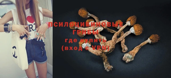 гашик Богданович