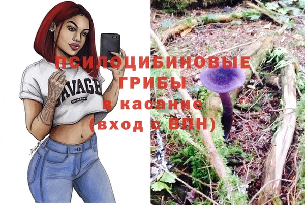 гашик Богданович