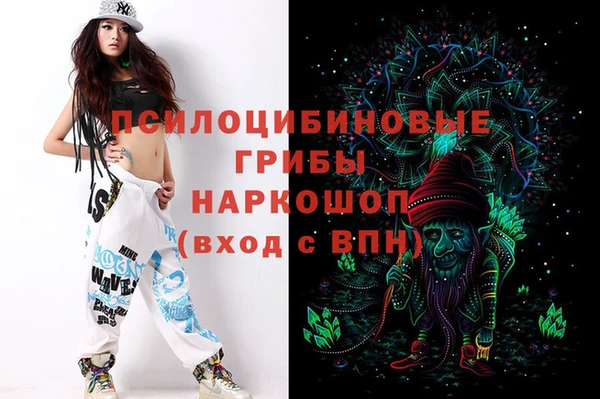 гашик Богданович