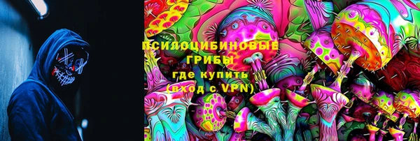 гашик Богданович
