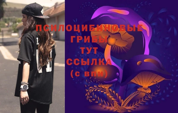 мефедрон Богородицк