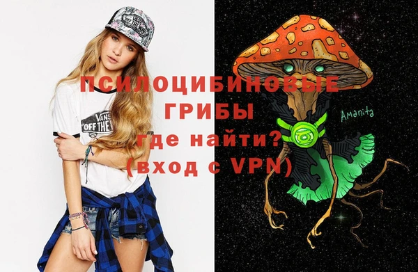 ГАЛЛЮЦИНОГЕННЫЕ ГРИБЫ Ростов