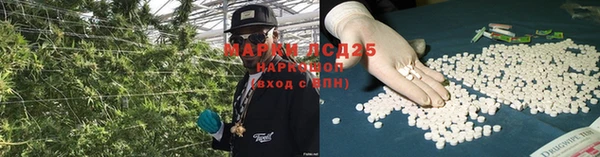 гашик Богданович