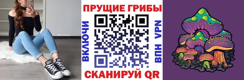 Псилоцибиновые грибы Magic Shrooms  Красавино 